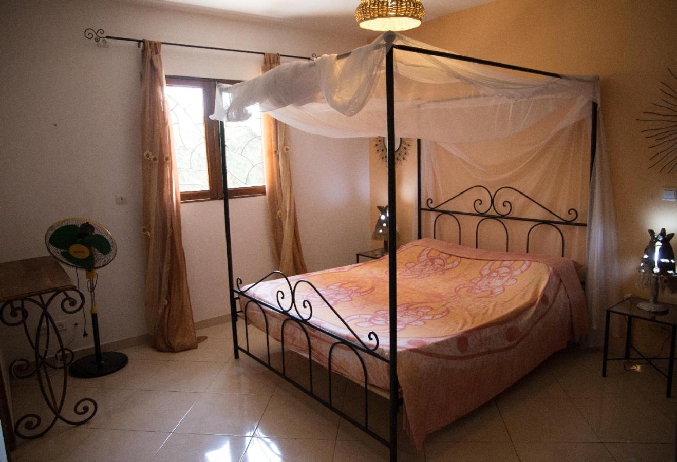 Maison Jardin Botanique كاب سكيرينج المظهر الخارجي الصورة